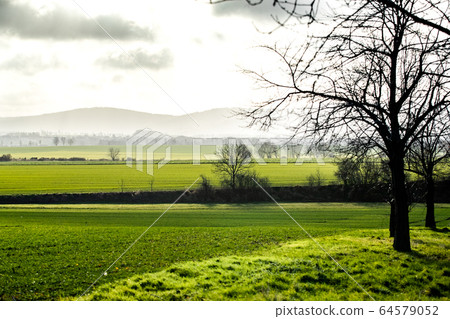 Green field with trees at sunrise, city is on background, fog or smoke Green field with trees at sunrise, city is on background, fog or smoke 64579052