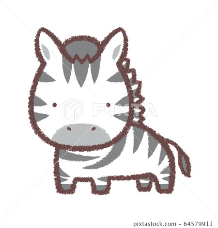 zebra  64579911