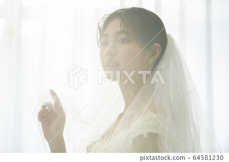 生活方式，女人，婚禮 64581230