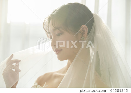 Lifestyle, woman, wedding Lifestyle, woman, wedding 64581245