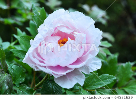 按鍵 按鍵 64581629