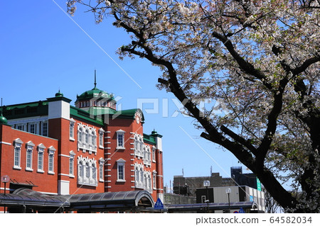 4月的深谷95深谷站（新）櫻花在南口 64582034