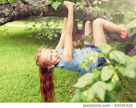 happy little girl hanging on tree in summer park happy little girl hanging on tree in summer park 64585320