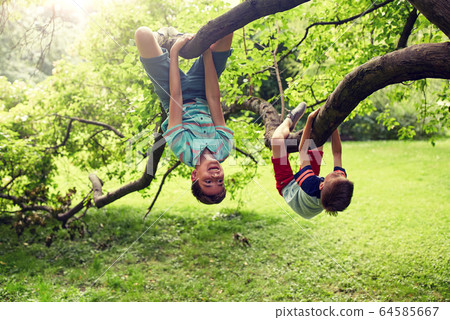 two happy boys hanging on tree in summer park two happy boys hanging on tree in summer park 64585667