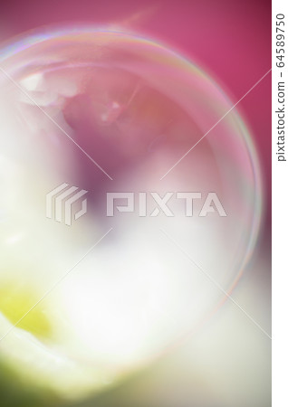 Flowers are colorful, sweet in a soft style 64589750