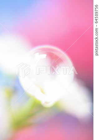 Flowers are colorful, sweet in a soft style Flowers are colorful, sweet in a soft style 64589756