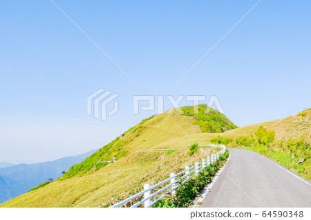 Bottle forest forest road 64590348