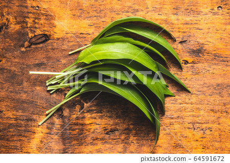 Green wild garlic leaves. Ramsons leaves 64591672