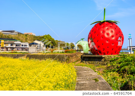 水果巴士站：草莓，甜瓜和油菜花[長崎縣Is早市大垣町] 64591704