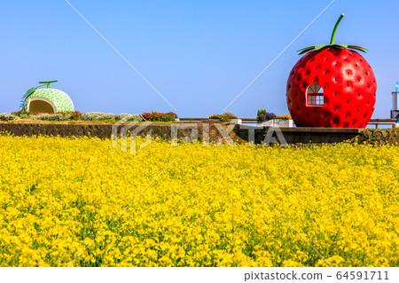 水果巴士站：草莓，甜瓜和油菜花[長崎縣Is早市大垣町] 64591711