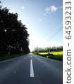 Straight road in summer 64593233