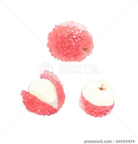 Lychee watercolor illustration Lychee watercolor illustration 64593454