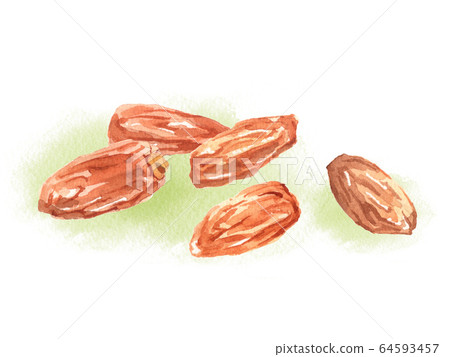 日期水彩插圖 64593457