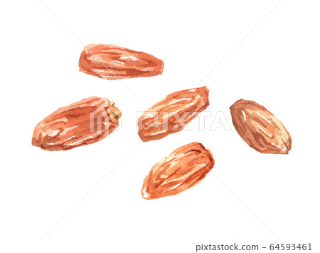 Date watercolor illustration 64593461