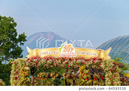 Tottori Flower Corridor (May sunny) 64593530