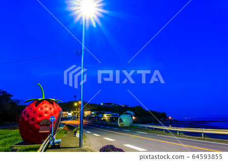 水果巴士站：草莓，瓜和油菜花的夜景[長崎縣Prefecture早市大垣町] 64593855