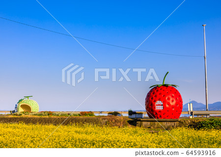 Fruit bus stop: Strawberries, melons and rape blossoms evening view [Onagai Town, Isahaya City, Nagasaki Prefecture] 64593916