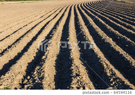 Furrows row pattern in a plowed field prepared for 64594116