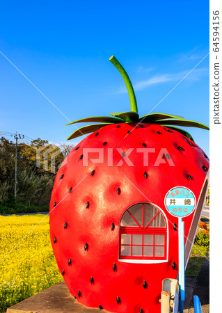 Fruit bus stop: Strawberries and rape blossoms evening view [Onagai Town, Isahaya City, Nagasaki Prefecture] 64594156