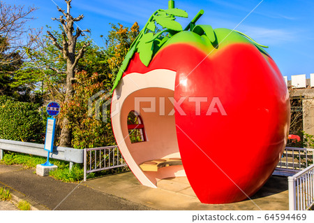 Fruit Bus Stop: Tomato [Onagai Town, Isahaya City, Nagasaki Prefecture] 64594469