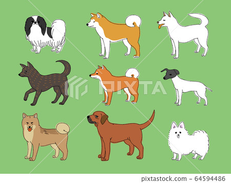 Japanese dog 64594486