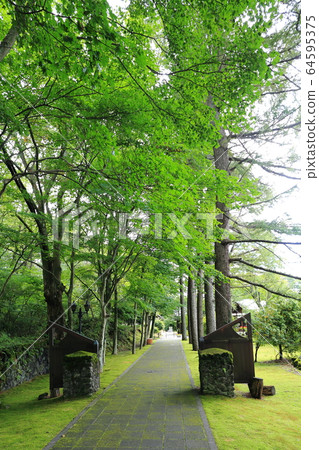 信濃大岩景觀 信濃大岩景觀 64595375