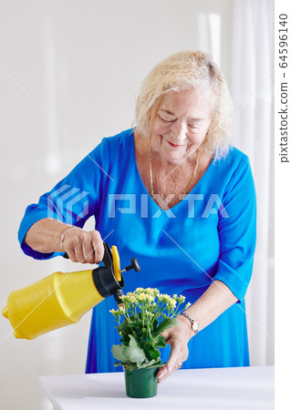 Woman watering blooming flowers 64596140