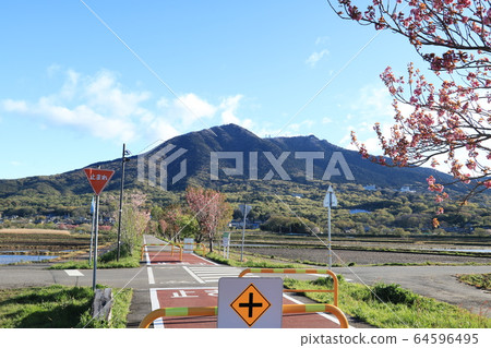 筑波春霞霞浦R林路 筑波春霞霞浦R林路 64596495