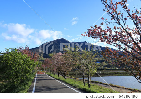 筑波春霞霞浦R林路 筑波春霞霞浦R林路 64596496