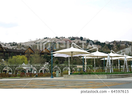 Children's Garden, Everland 64597615