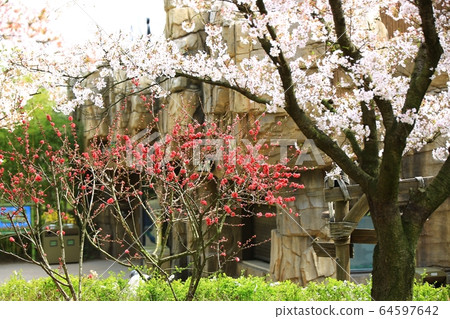 愛寶樂園兒童園 愛寶樂園兒童園 64597642