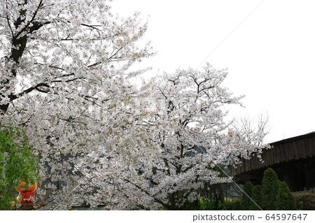 愛寶樂園兒童園 愛寶樂園兒童園 64597647