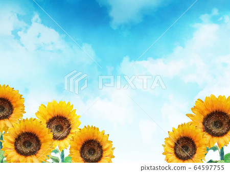 向日葵水彩 64597755