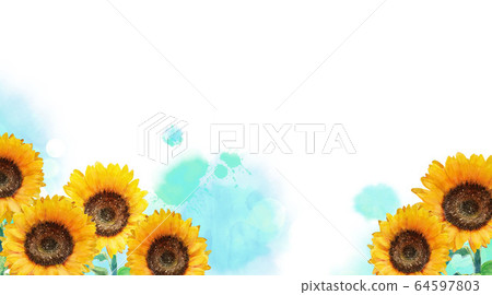 Sunflower watercolor 64597803