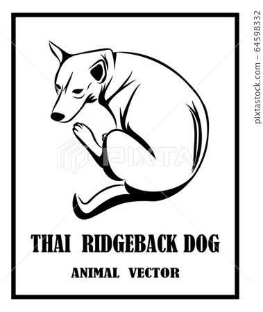 Black and white vector of Thai ridgeback dog.  64598332