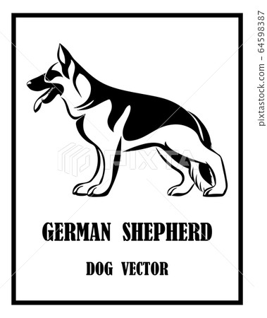 Black and white vector Illustration logo of a German Shepherd Dog. It is standing. 64598387