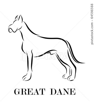 Black line drawing on white background of Great Dane dog. It is standing 64598388