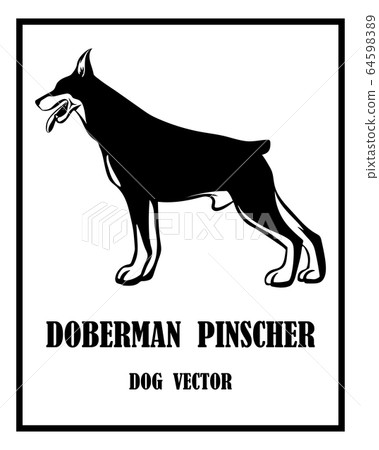 Black and white vector Illustration logo of a Doberman Pinscher Dog. It is standing. Black and white vector Illustration logo of a Doberman Pinscher Dog. It is standing. 64598389