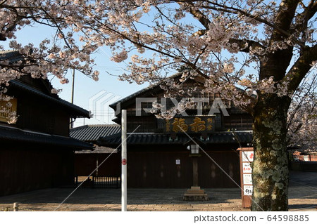 五十鈴赤川商店和櫻花 64598885