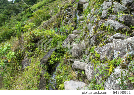 rice terrace, paddy field, rice field 64598991