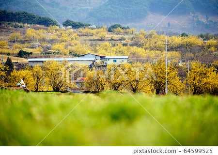Landscape of Sansuyu Village, Gurye-gun, Jeollanam-do 64599525