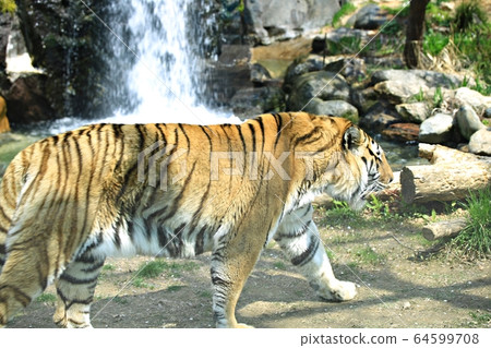 動物園，愛寶樂園 64599708