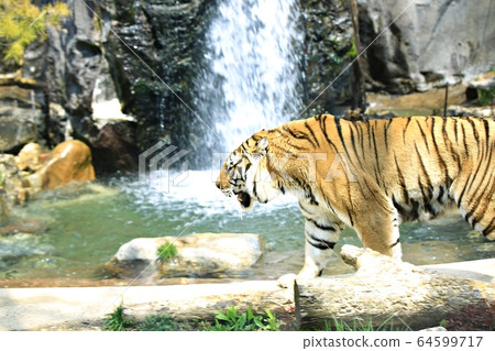 動物園，愛寶樂園 64599717