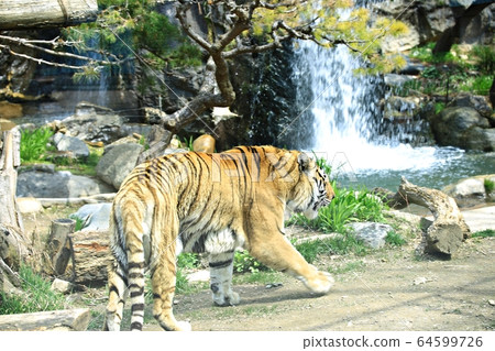 動物園，愛寶樂園 64599726