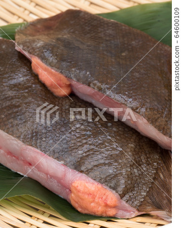 Fillet Fillet 64600109