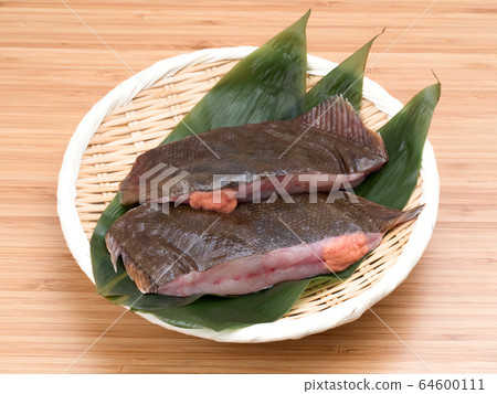 Fillet Fillet 64600111