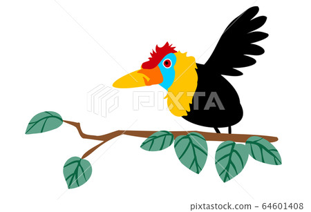 Indonesian primary color bird, red hornbill Indonesian primary color bird, red hornbill 64601408
