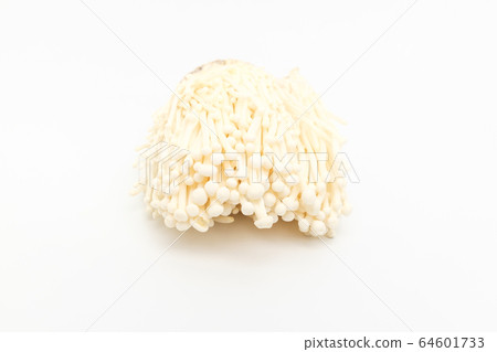 Enoki Enoki 64601733