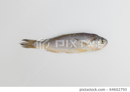 黃花魚 64602793