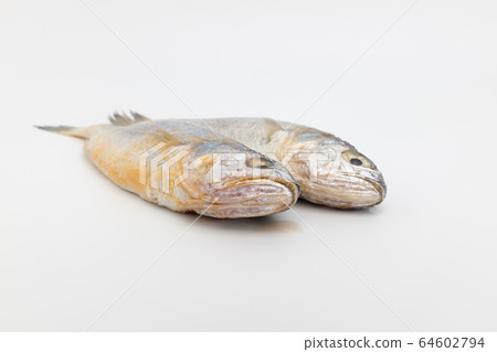 黃花魚 黃花魚 64602794